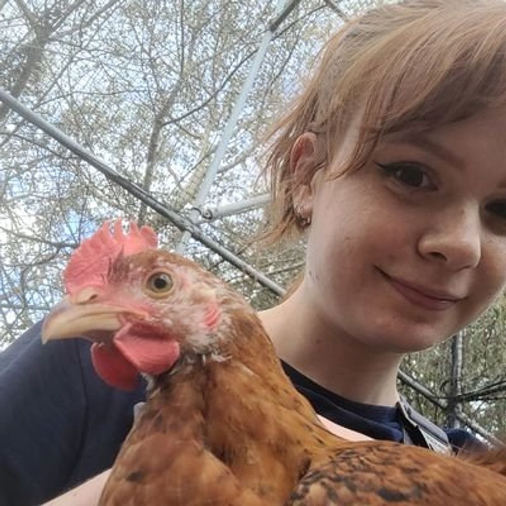 Katy Willcox