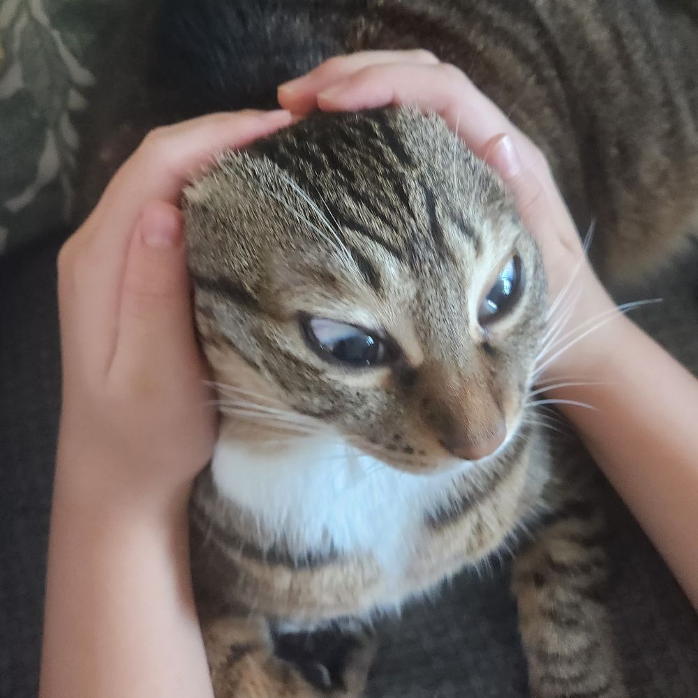 🙏톨