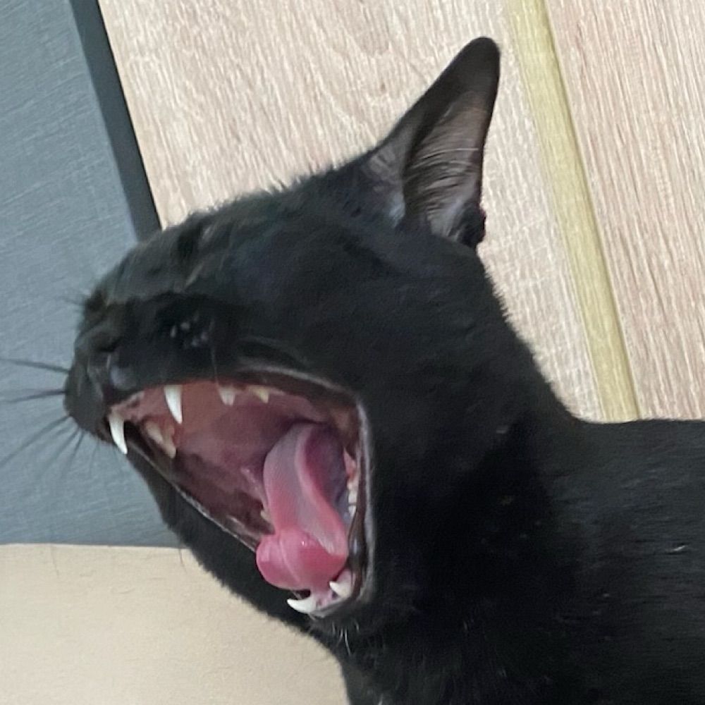 เอย่าห์