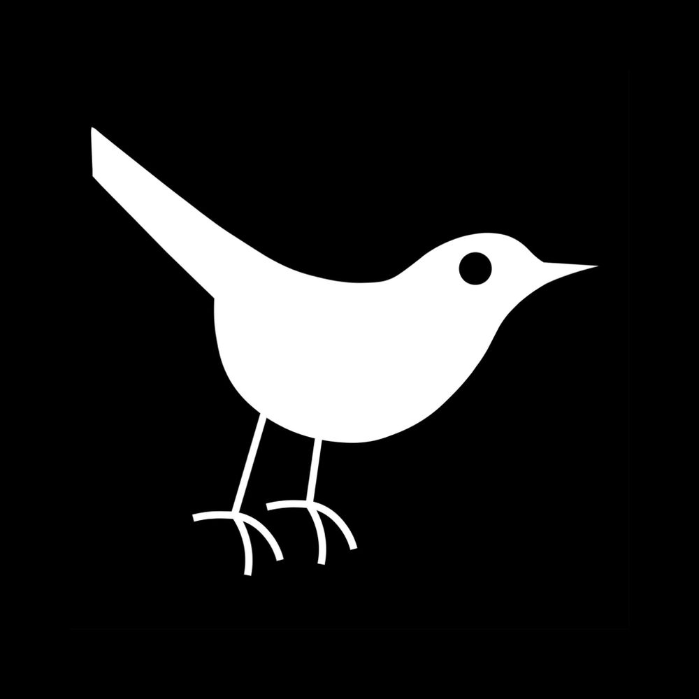 智子 (藍)