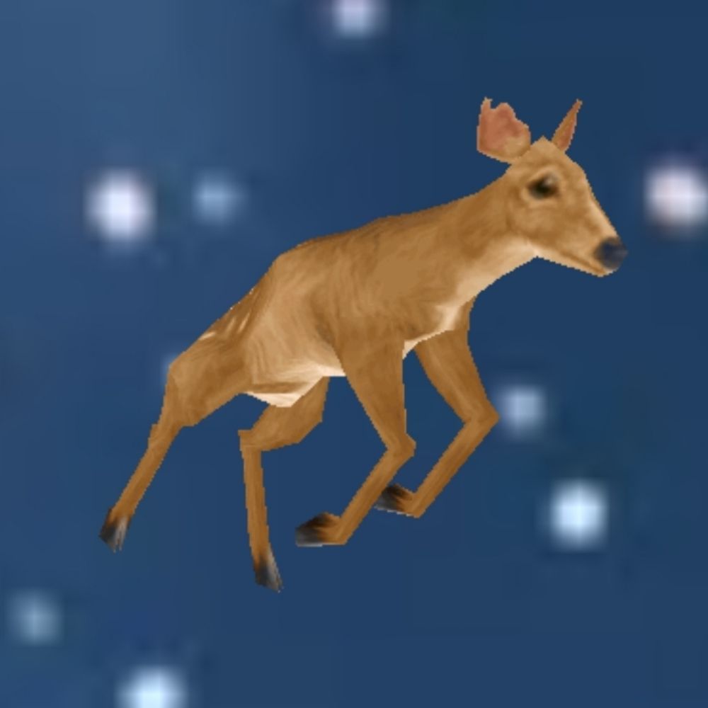 Doe