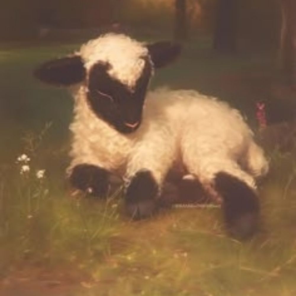 ꒰ soft little lamb ꒱
