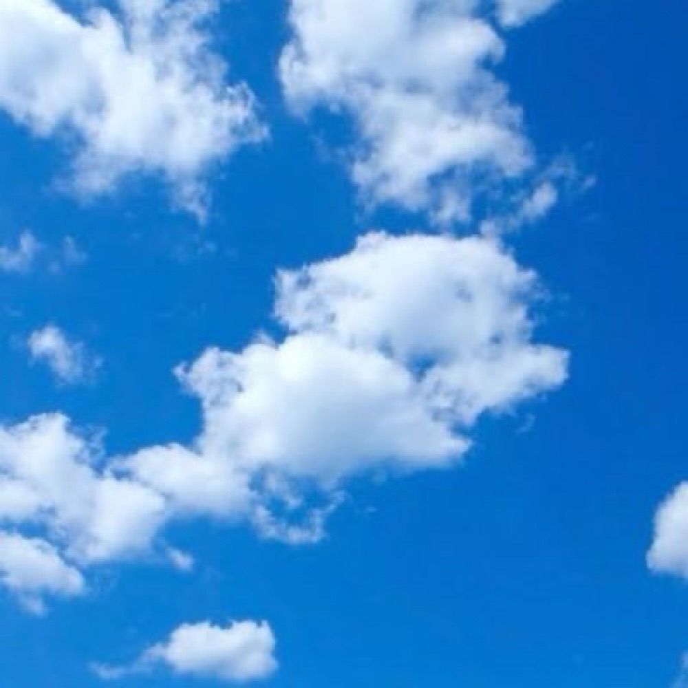 青