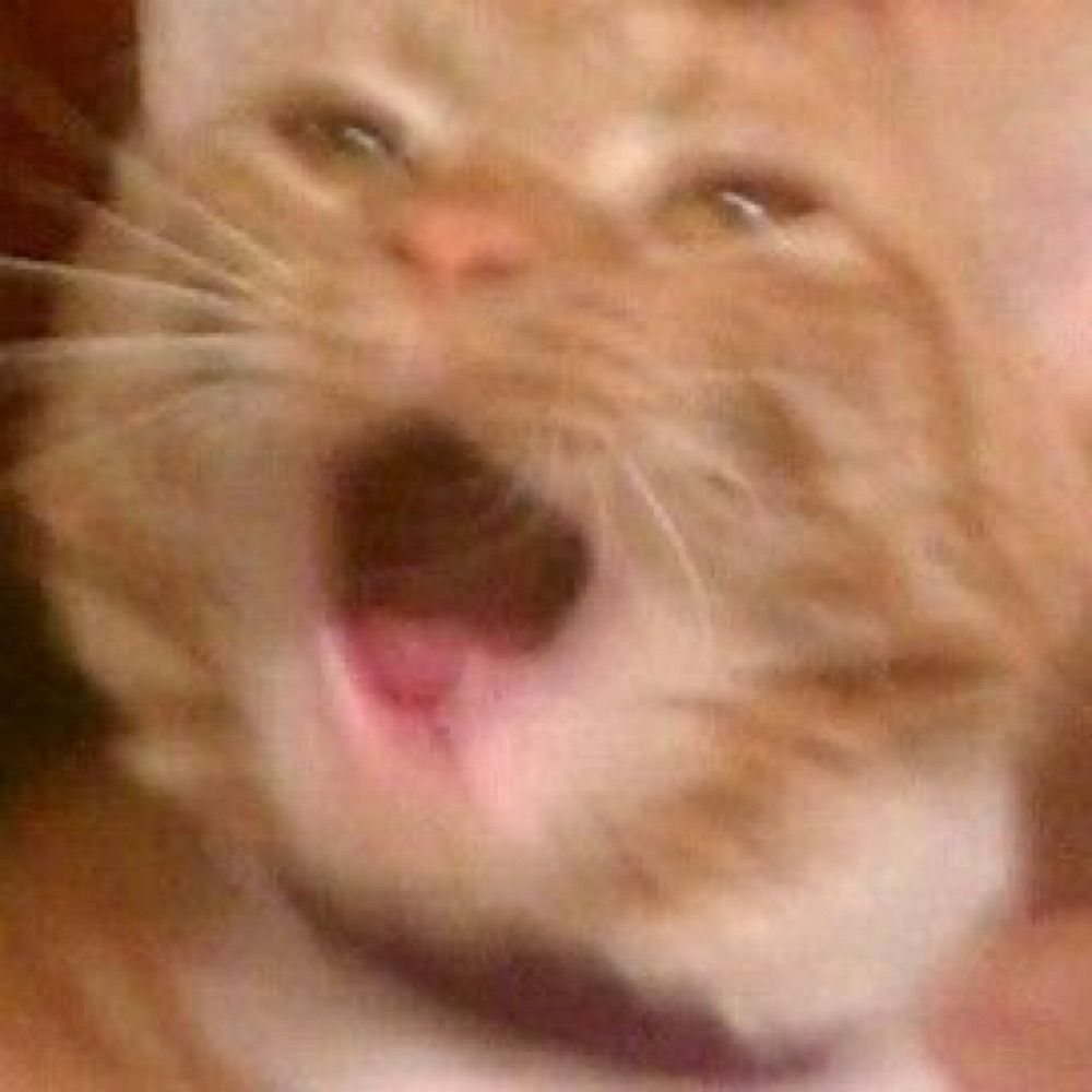 jjonathvn