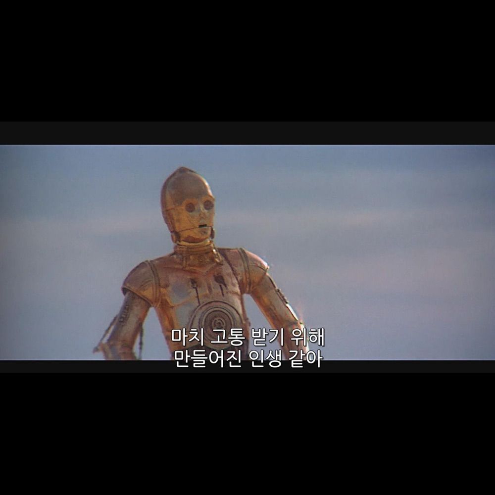 스타워즈팬100928