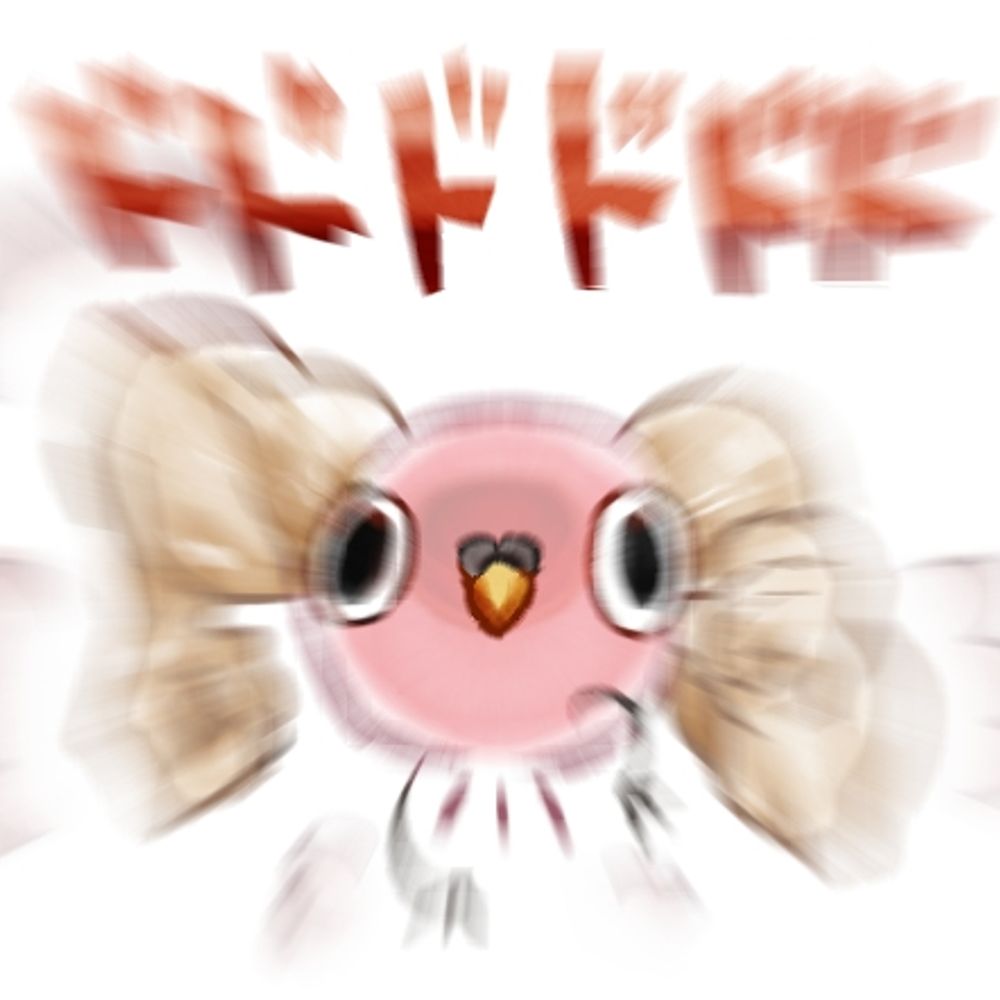 きな