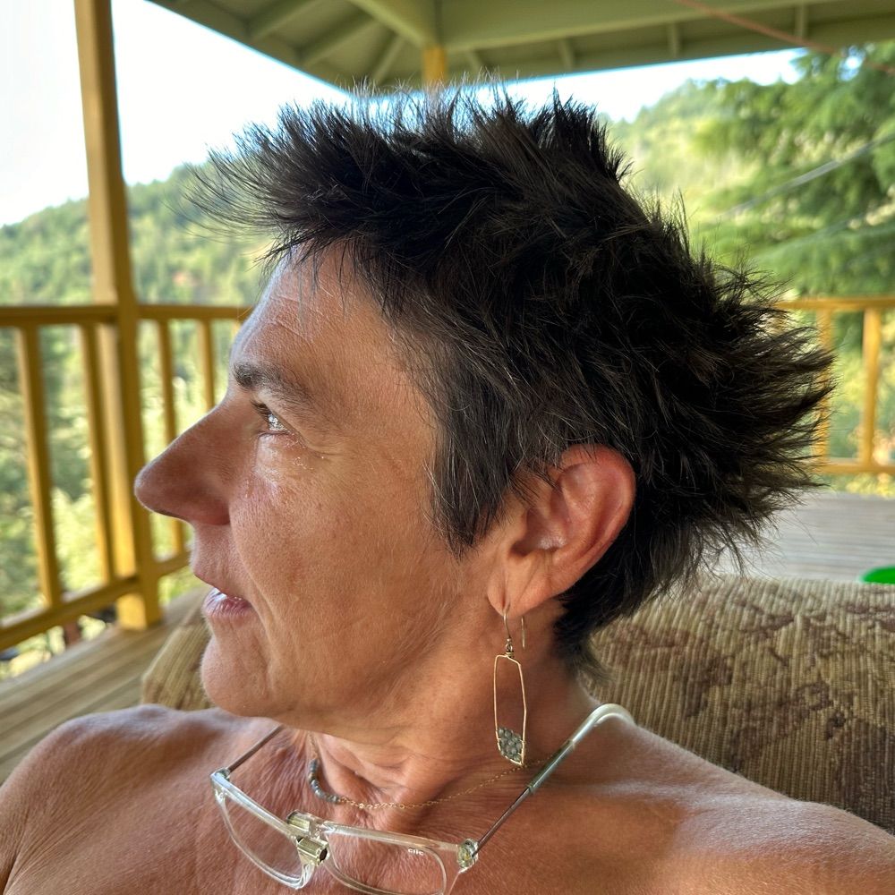 Lisa Hillegas (Leece)