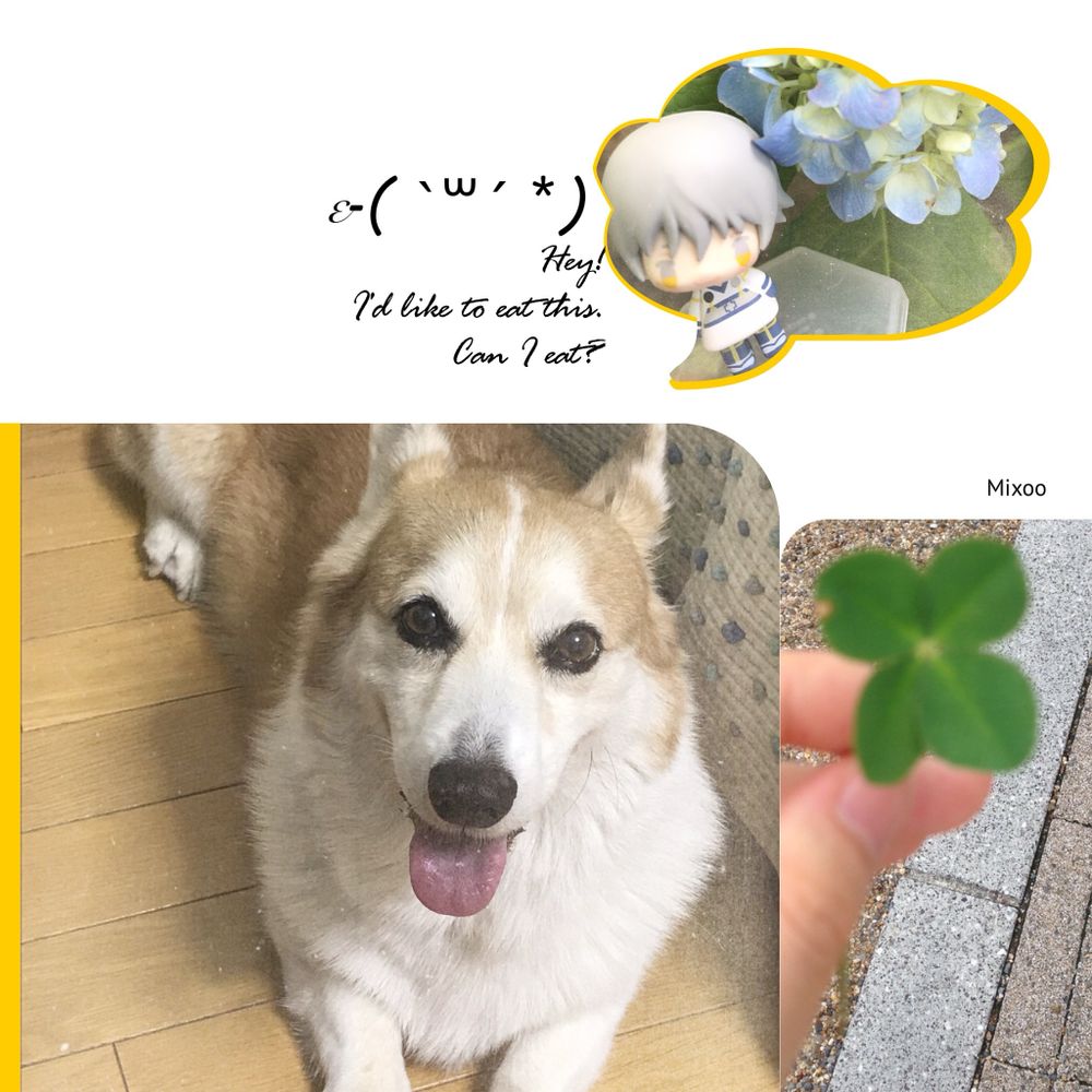 いつか