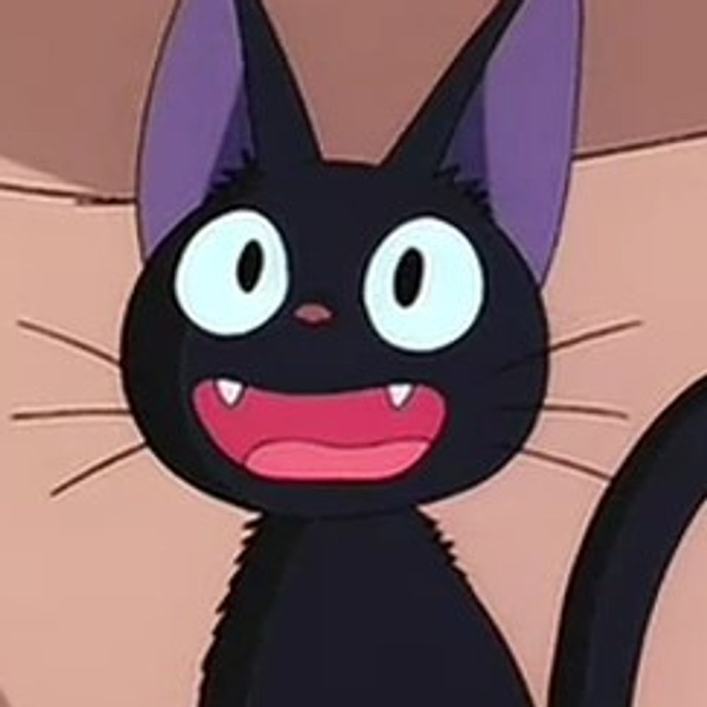 🌸 Cat 🌸