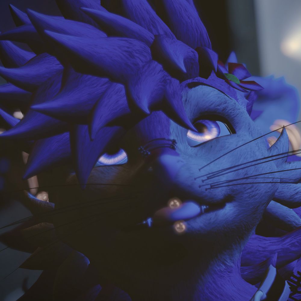 Shy !! 🔜 FWA??