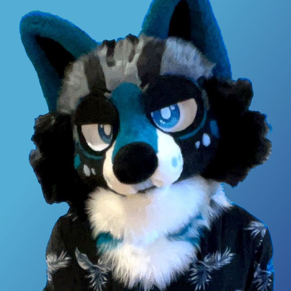 🦈 B A I L E Y 🐕
