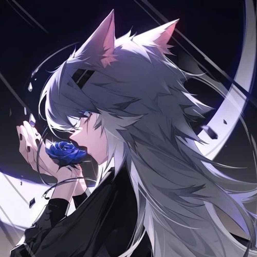 nox
