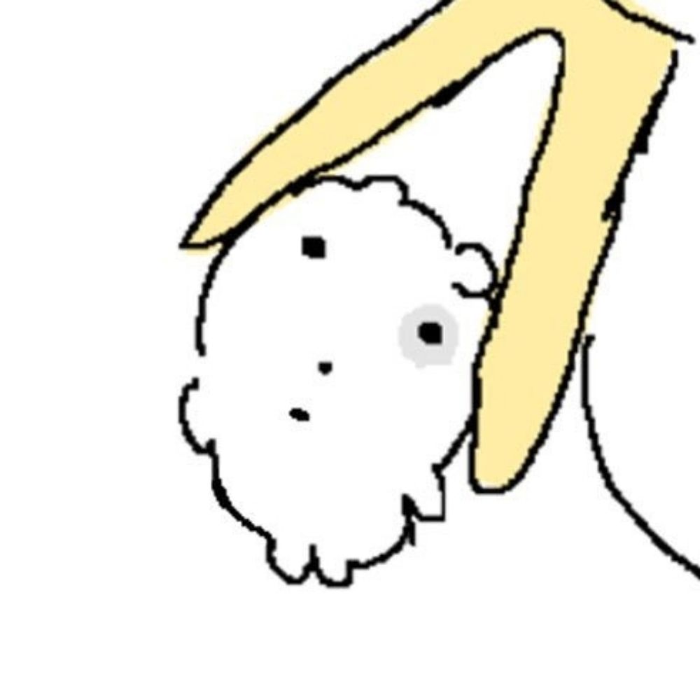 두부