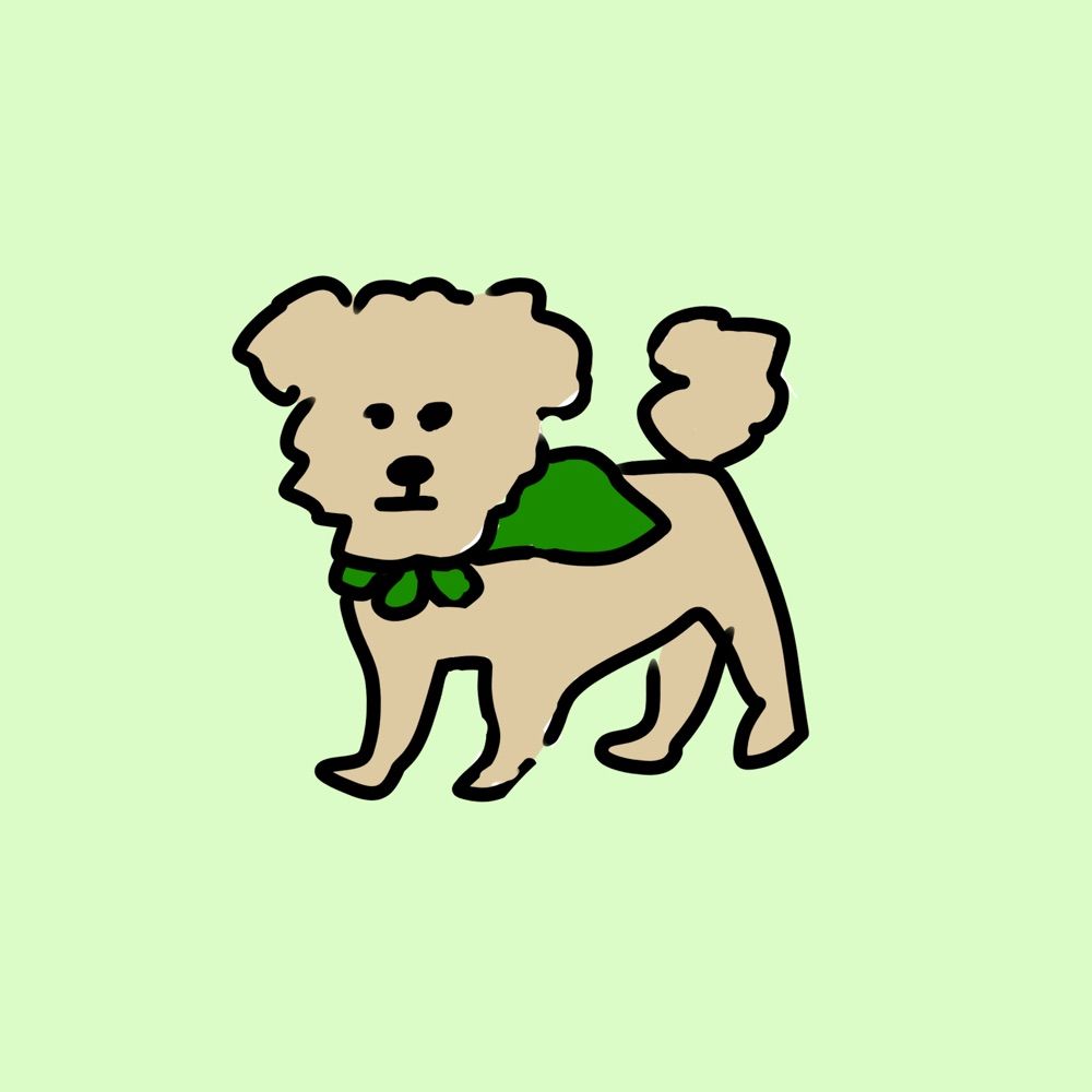 木綿