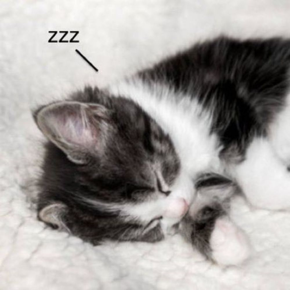 Lay 💤