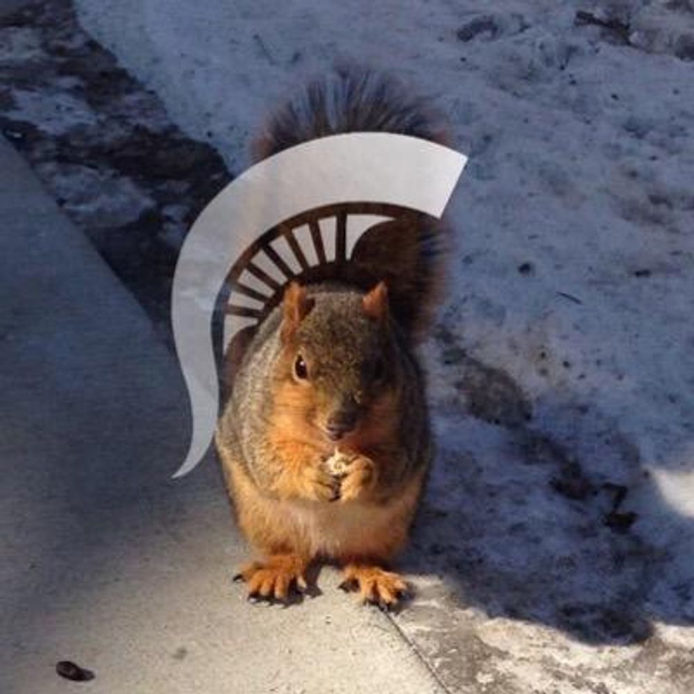 Sparty