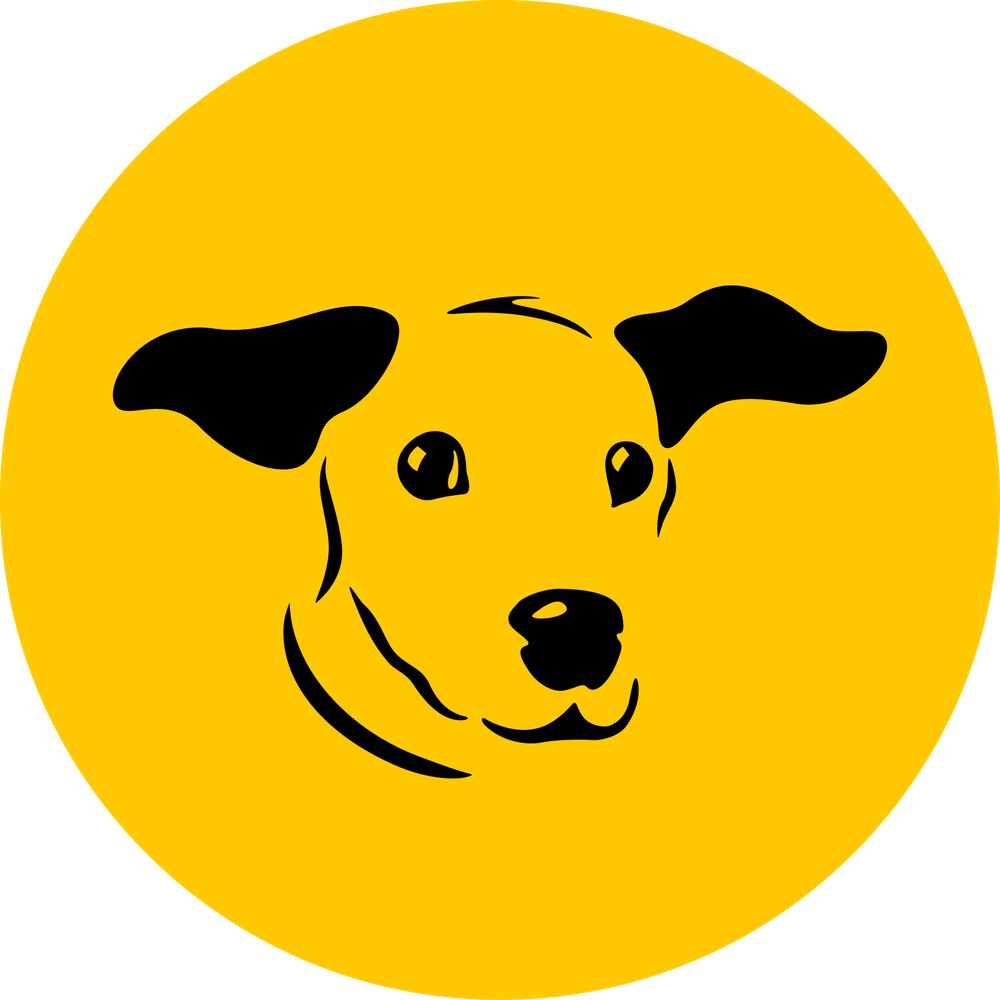 Dogs Trust's Canine Behaviour & Research Teams