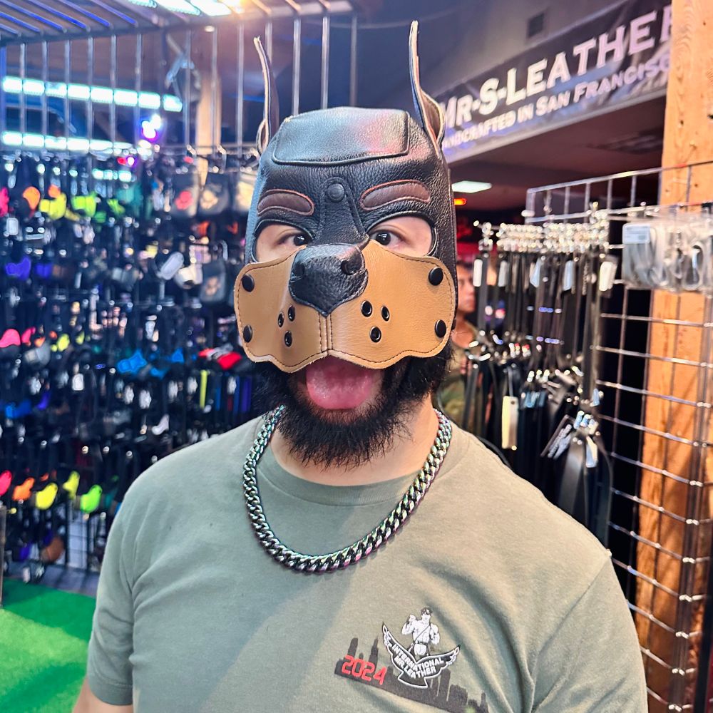 Pup Zippy 🔞 | 📍IML