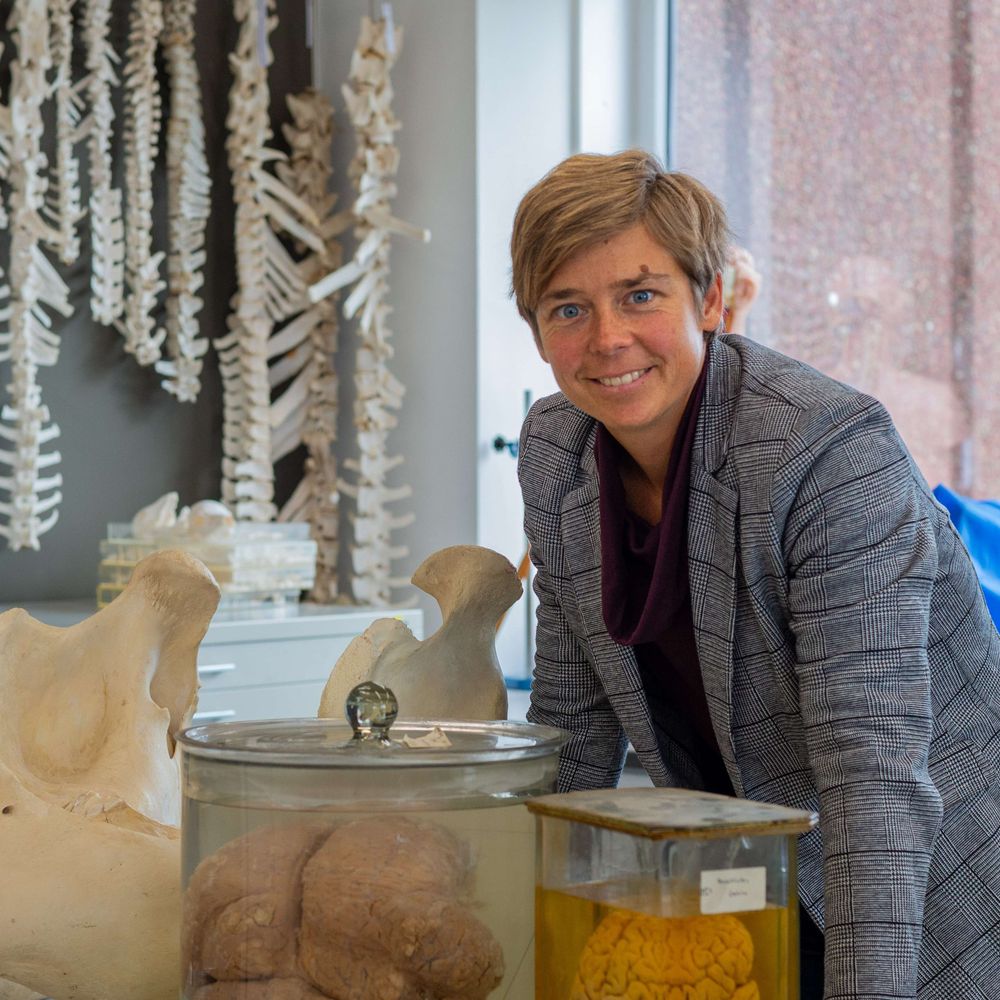 Prof. Christine Böhmer