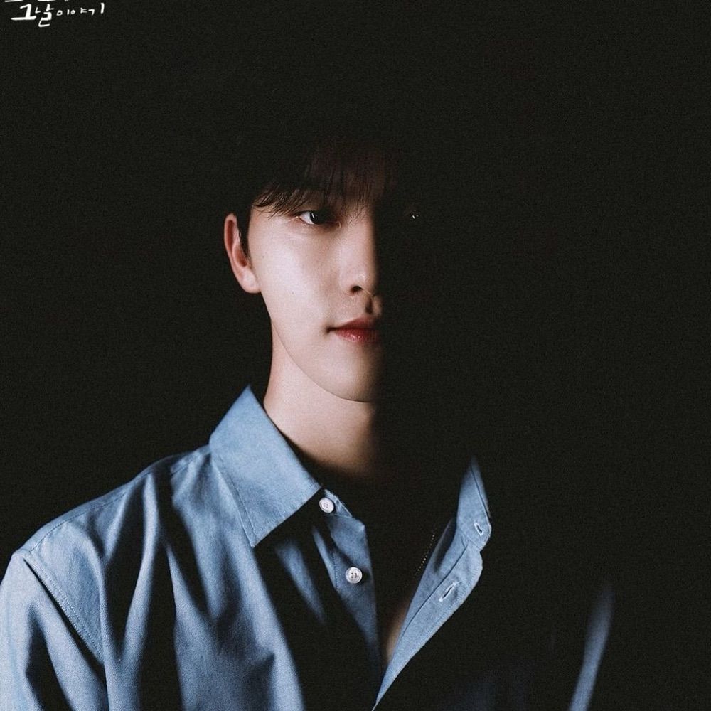monty ˊᵕˋ 