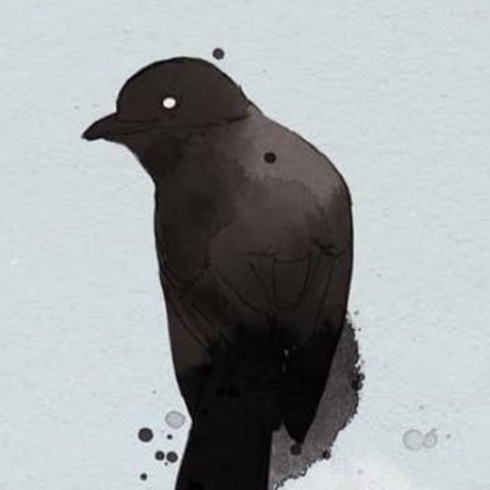 🕊 𝐊𝐀𝐑𝐀𝐒𝐔