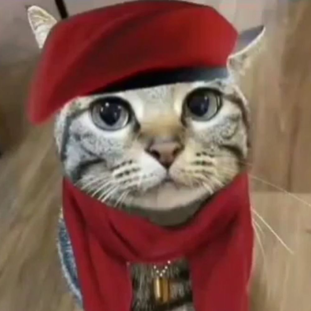 Ocelot 