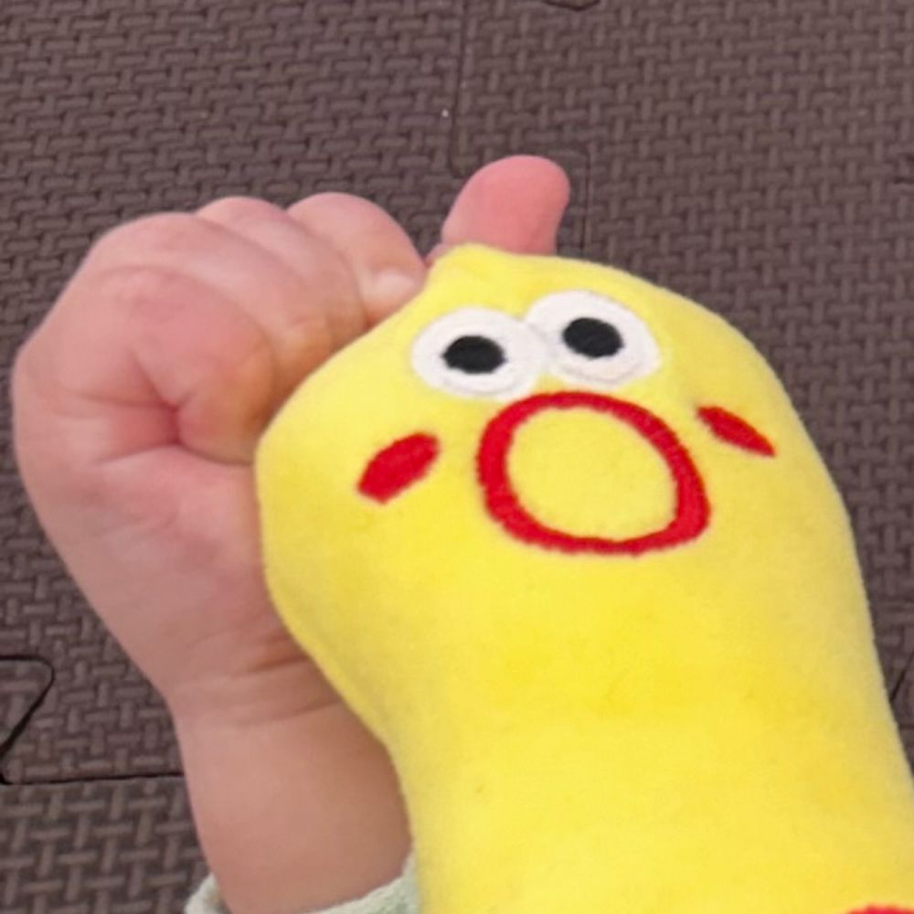 ふとん5秒前