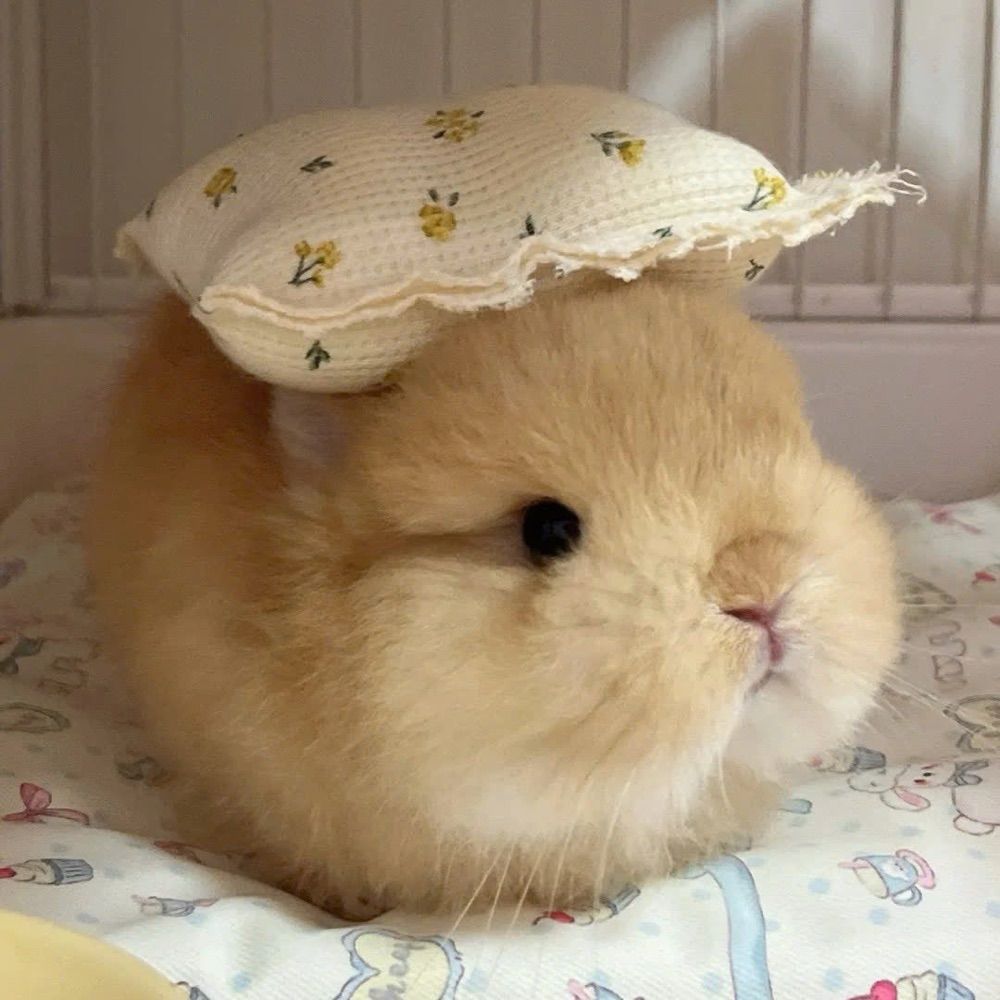혜