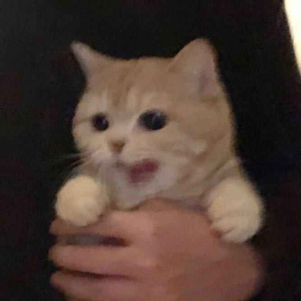 윤