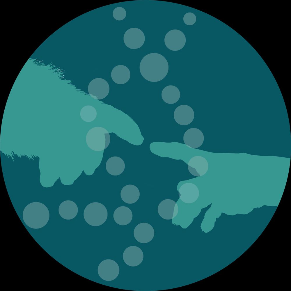 Enard/Hellmann Lab