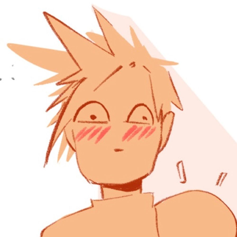 bark bark splash