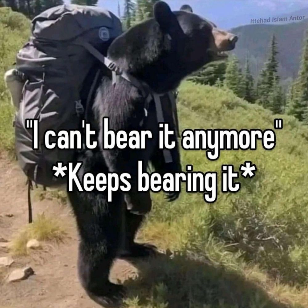 Bär