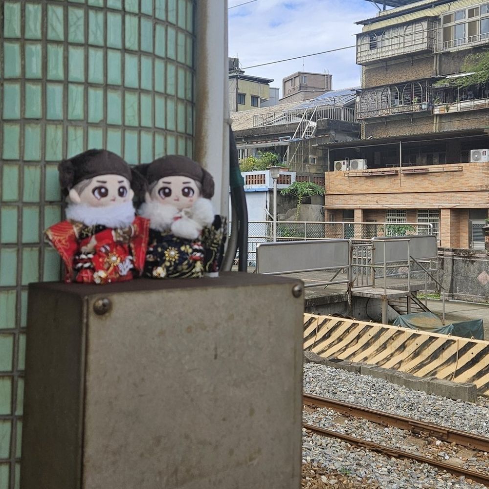 뉴