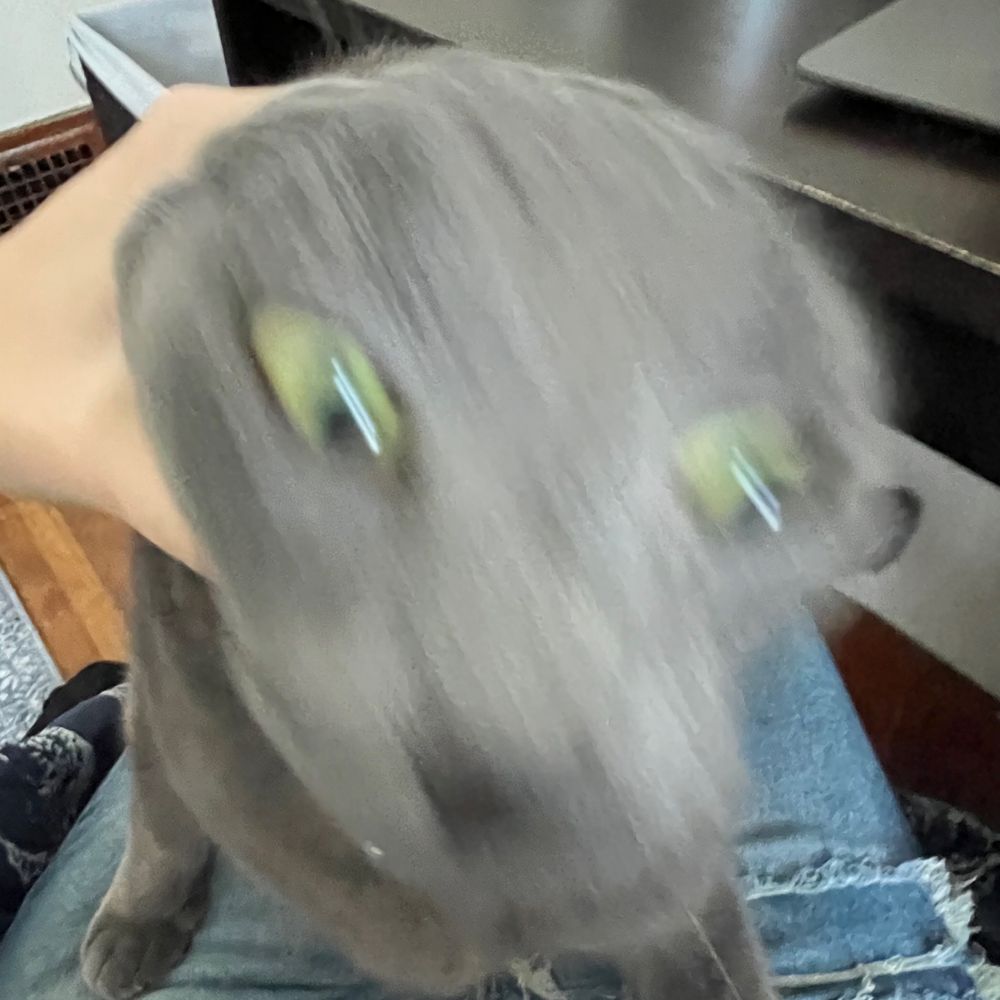 tori