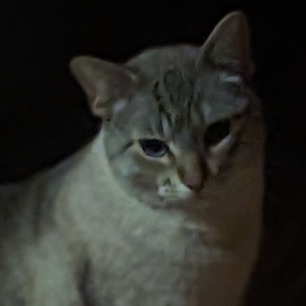 patrick6669.bsky.social profile picture