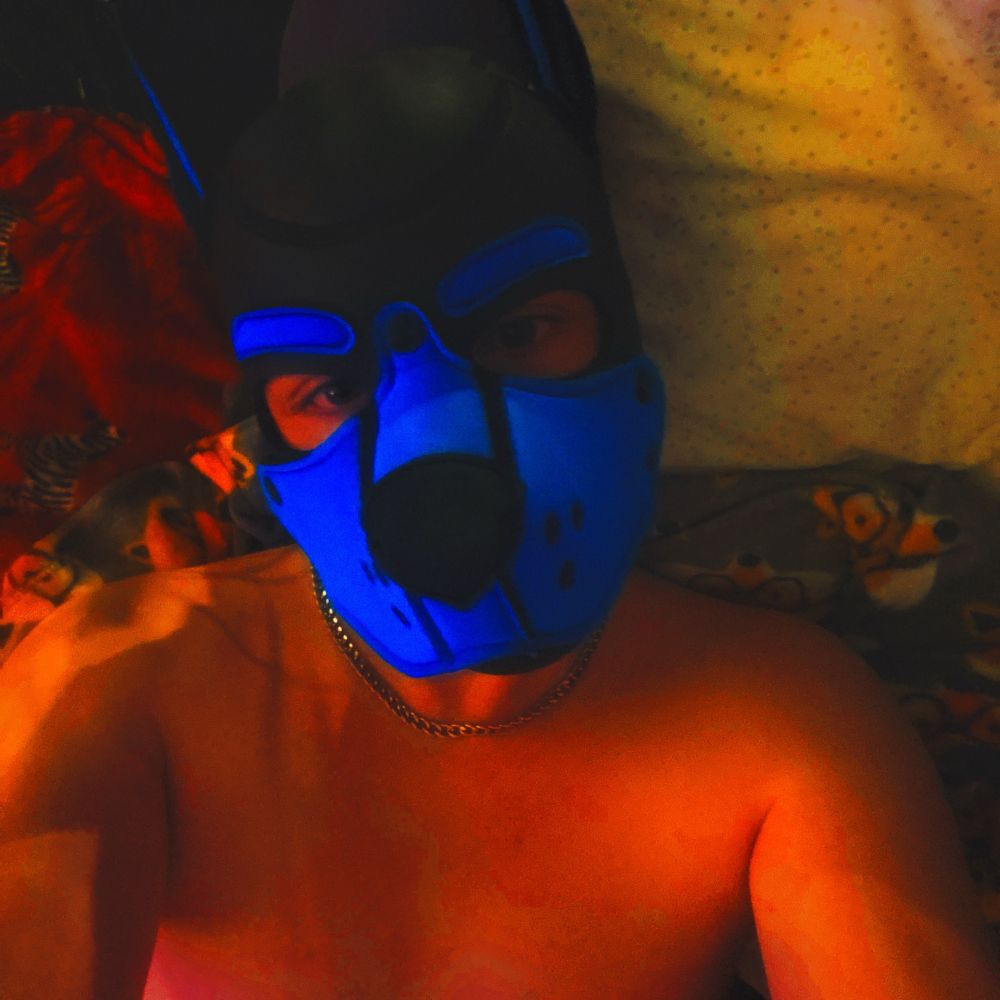 Pup Jay