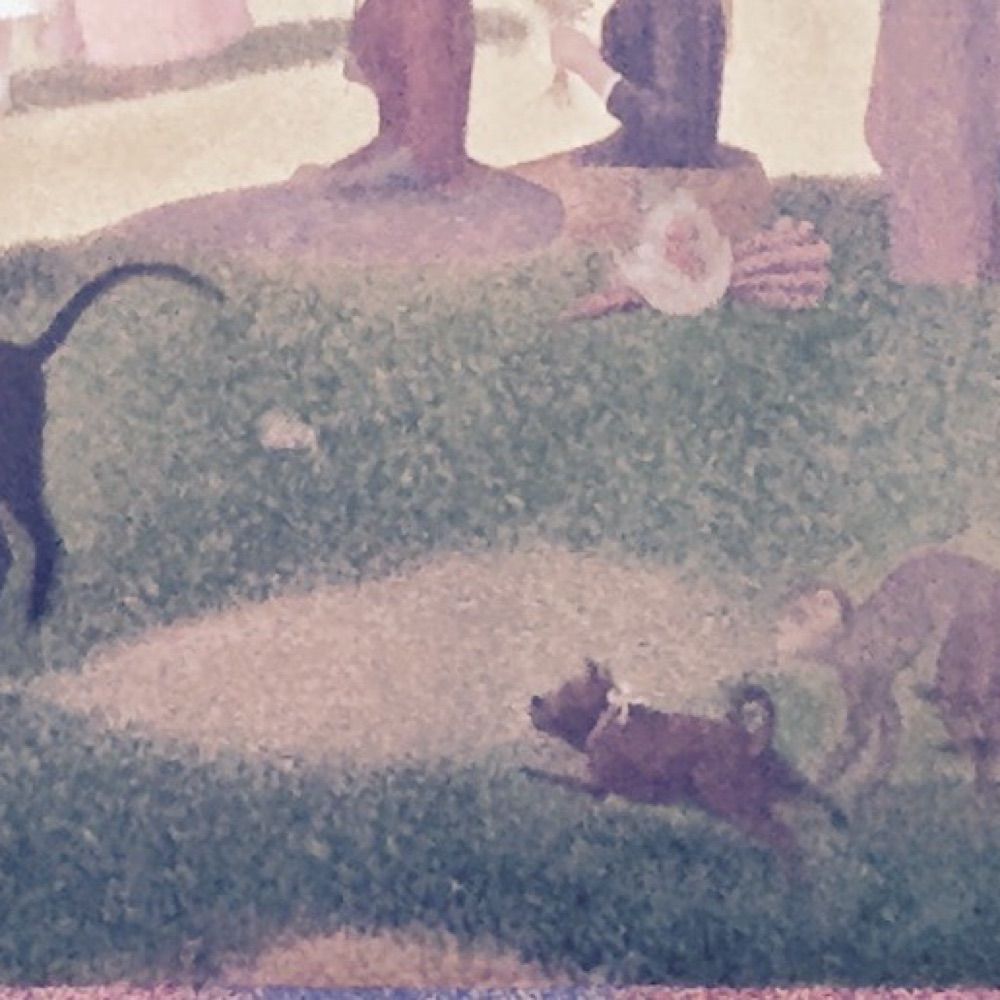 Seurat’s Monkey