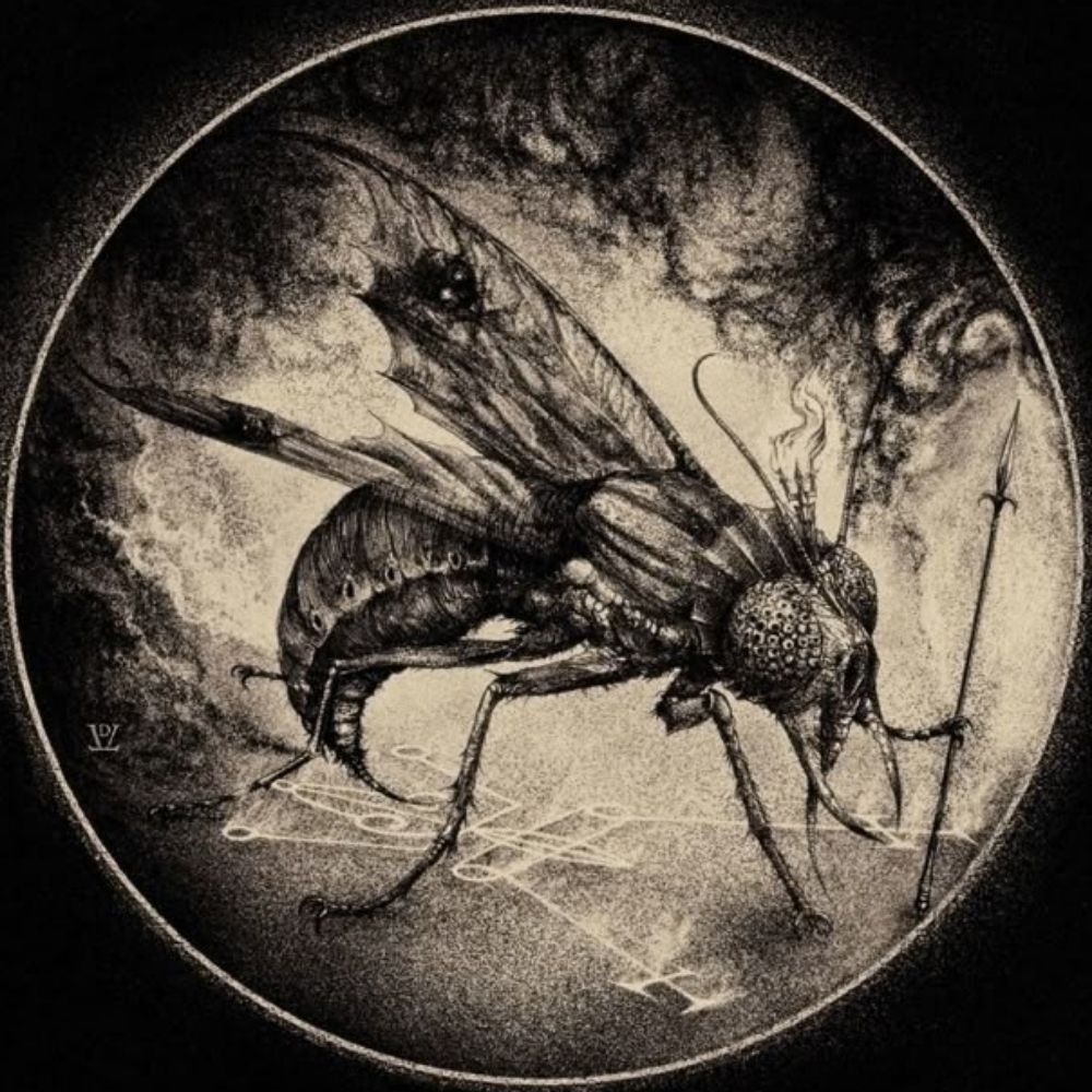 Fly