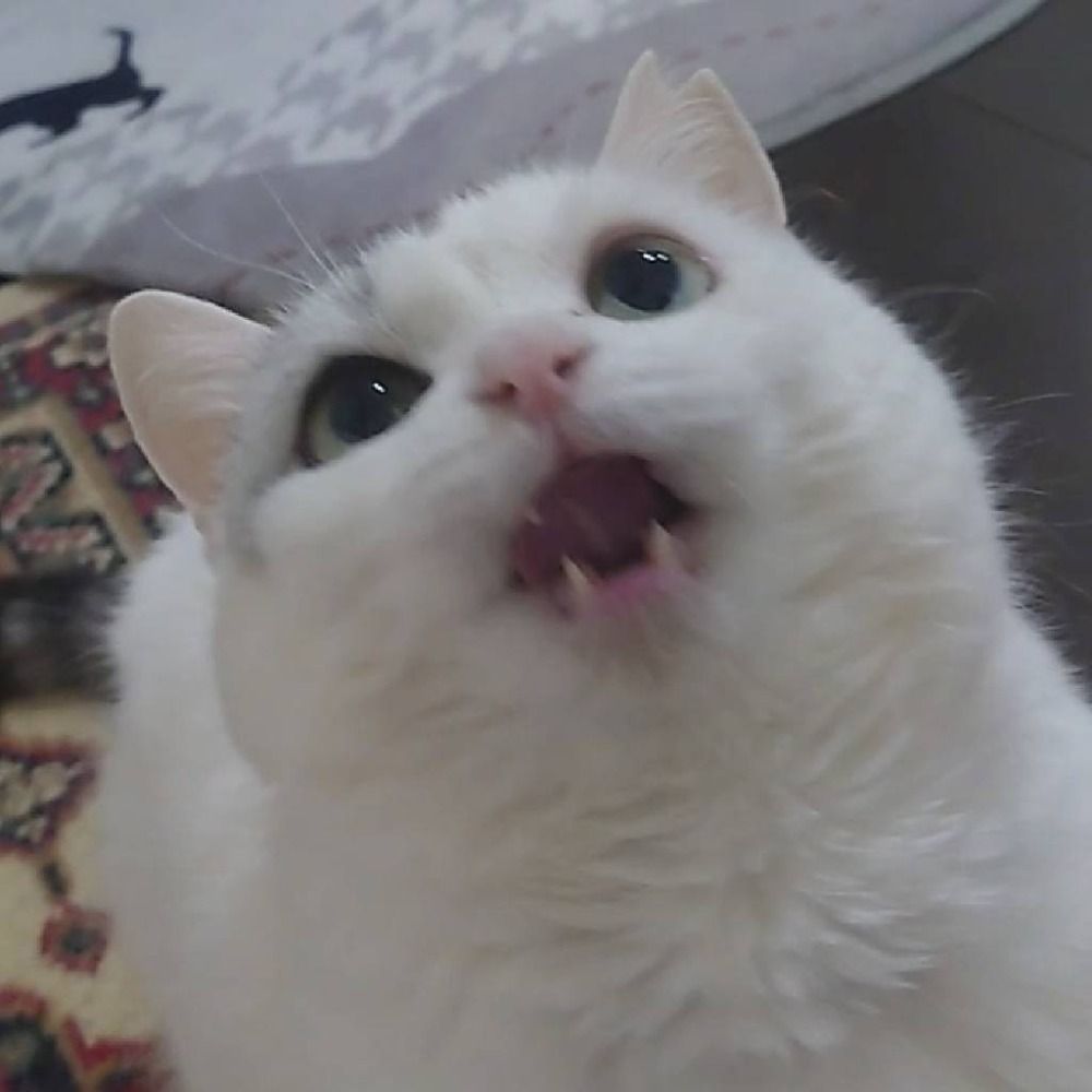 まんまる