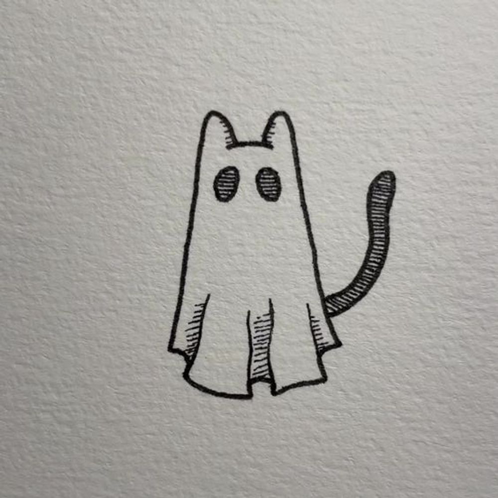 Ghost cat