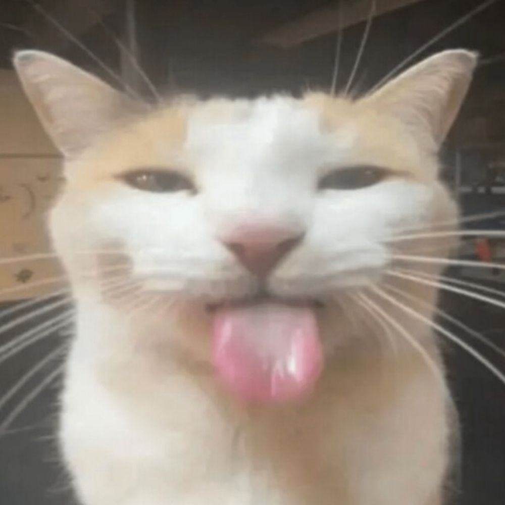FishyExists