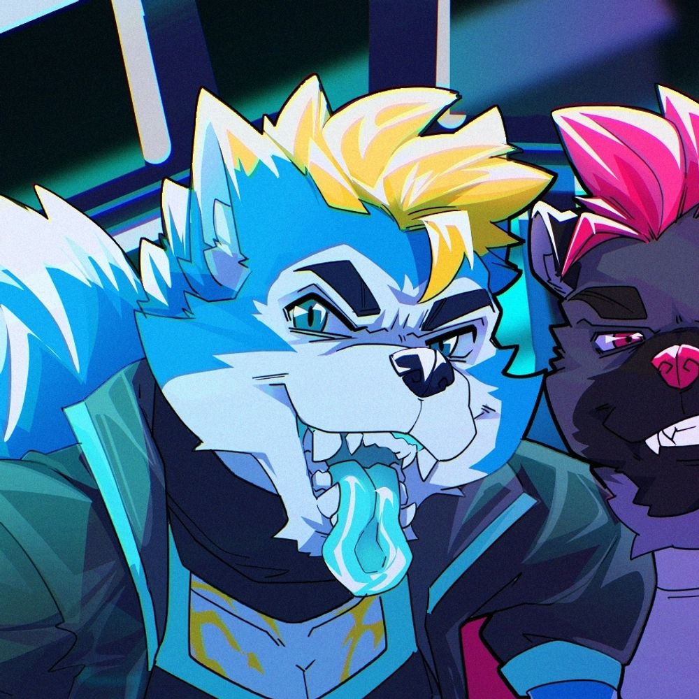 KentaHusky