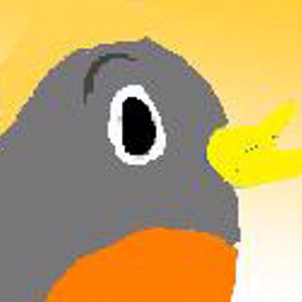 Robin770