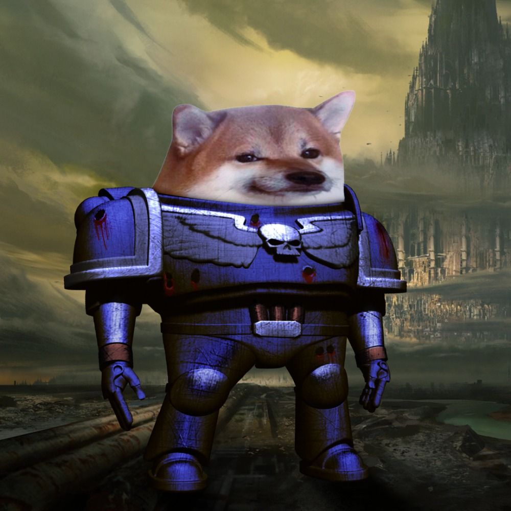 Dominic Schaefer