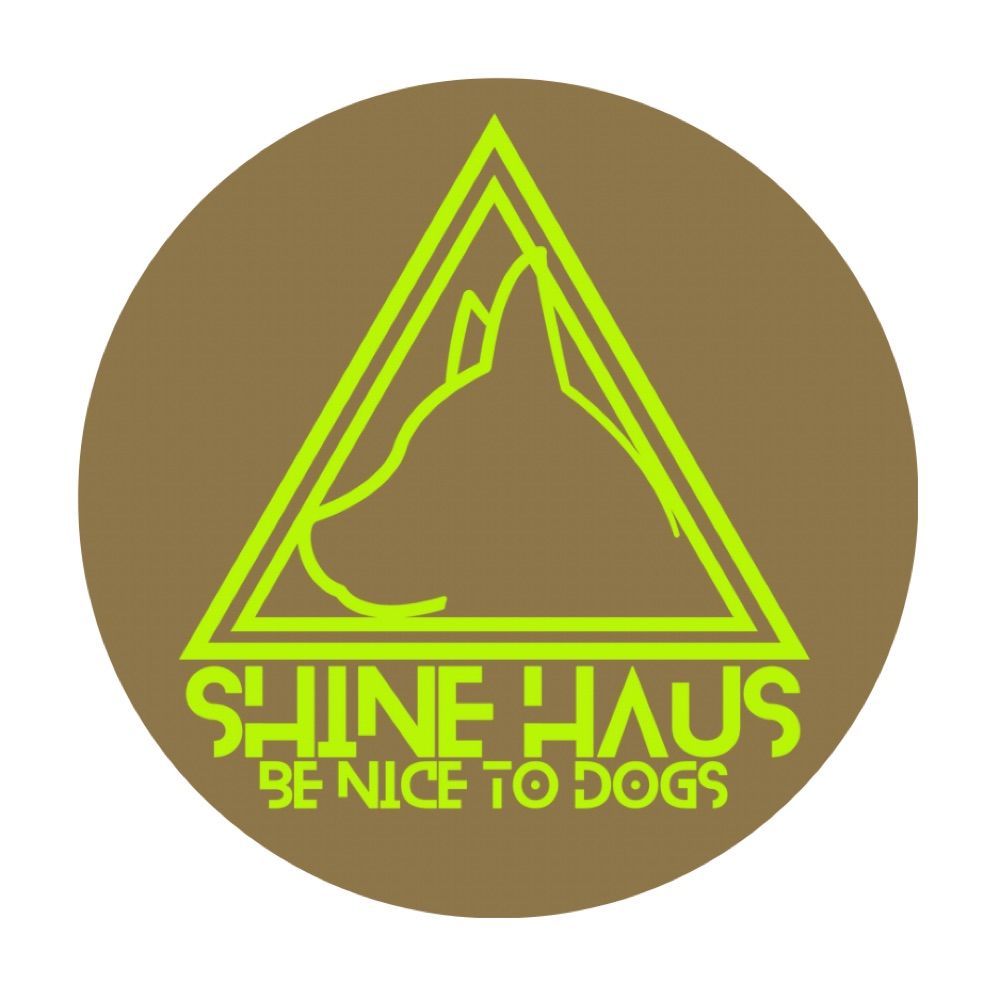 Profile picture shinehaus.bsky.social