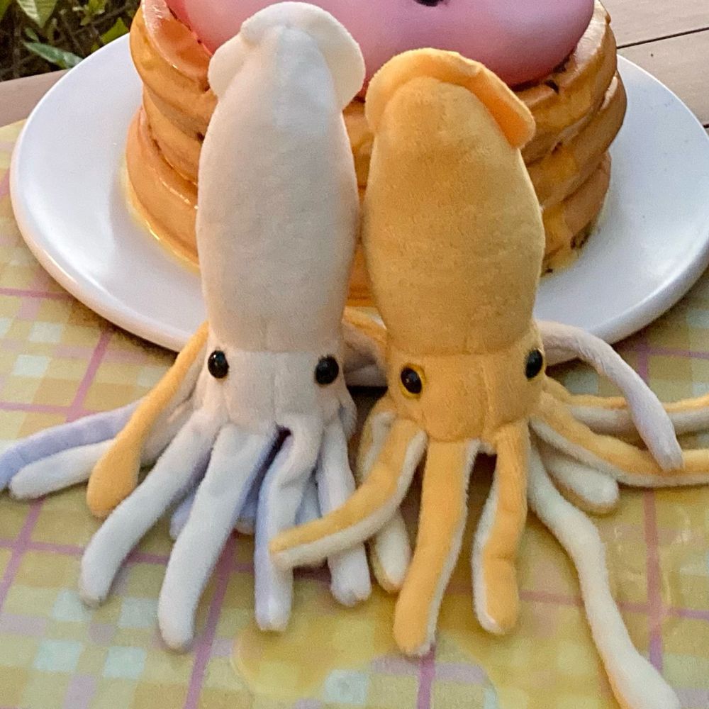 とんとんみー