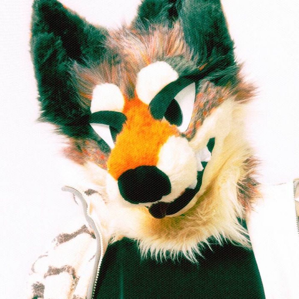 kujo 💿 coyote2