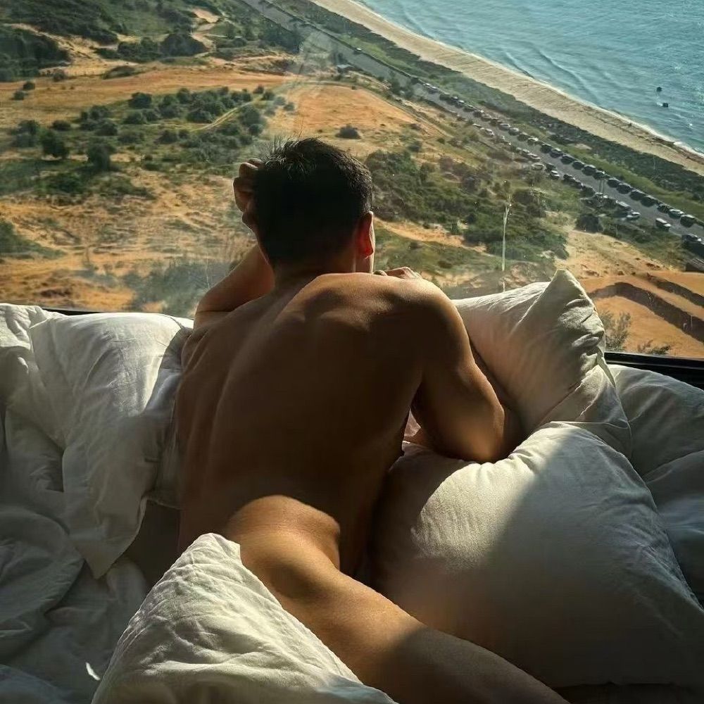 ✨