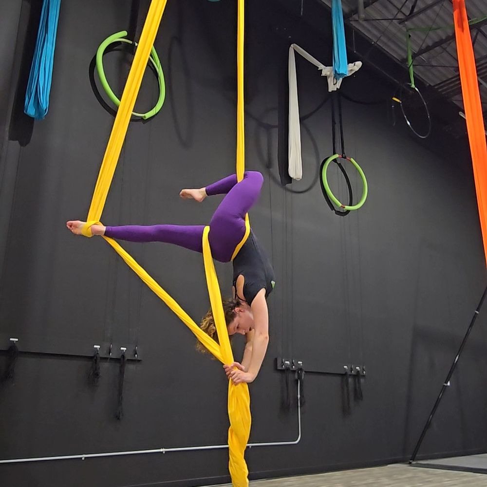 Aerial_Meg