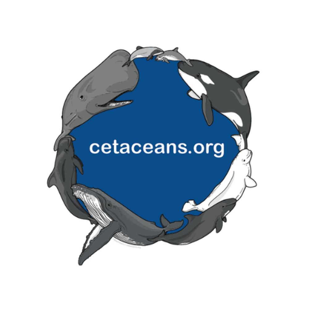 cetaceans.org